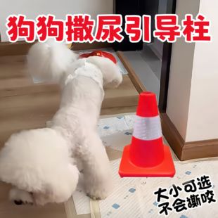 狗狗尿尿引导立柱公狗拉尿停车撒尿锥防乱尿定点上厕所雪糕桶神器