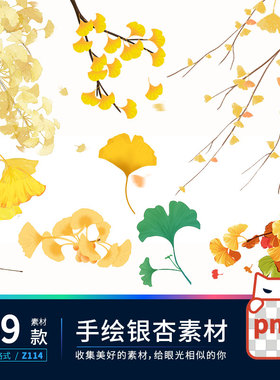 手绘风唯美秋季黄色银杏树叶PNG免扣透明背景设计装饰素材