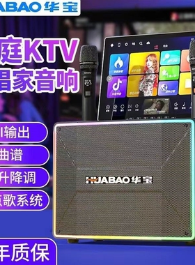 华宝户外音响带屏卡拉OK重低音KT舞一体机V家庭音箱套装跳广场