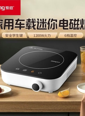 Ating/爱庭家用小型电磁炉迷你宿行便携煮茶电磁灶舍户外车载旅