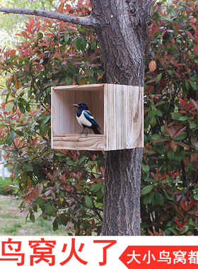 大号鸟窝户外防雨鹦鹉繁殖箱保暖加厚实木挂树幼儿园景区绿色校园