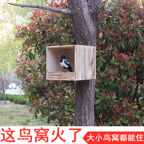 天甄地选实木鸟窝户外防雨防晒