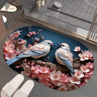 椭圆浴室硅藻泥吸水速干地垫卫生间厕所入户门口脚垫家用防滑地毯