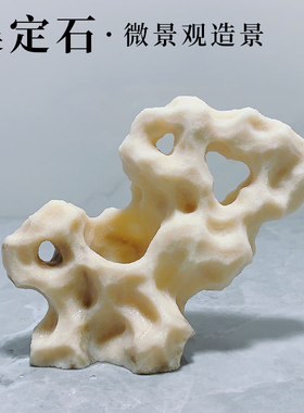 台湾吴定石景观上水石吸水石花盆金钱菖蒲盆附石假山石捕虫堇摆件