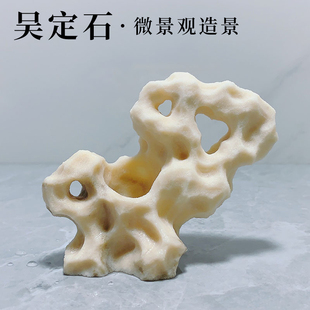 台湾吴定石景观上水石吸水石花盆金钱菖蒲盆附石假山石捕虫堇摆件