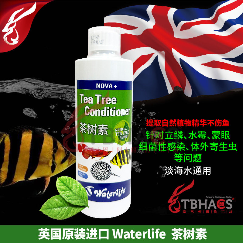 英国waterlife茶树素水族立鳞水霉外寄霉菌真菌外伤细菌免疫增强
