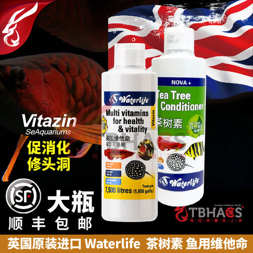 英国Waterlife茶树素维生素免疫