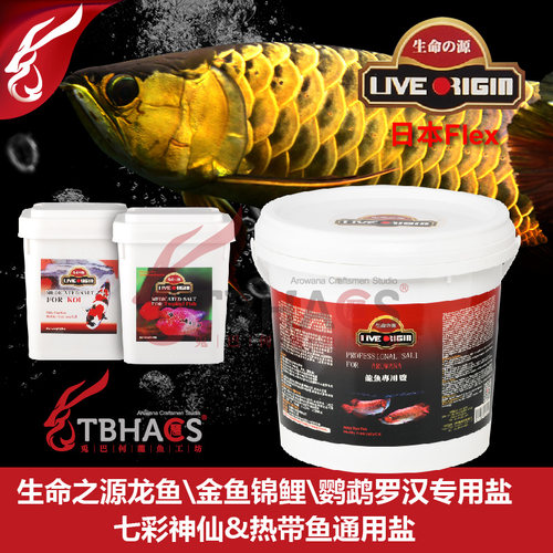 生命之源日本flex七彩淡水鱼
