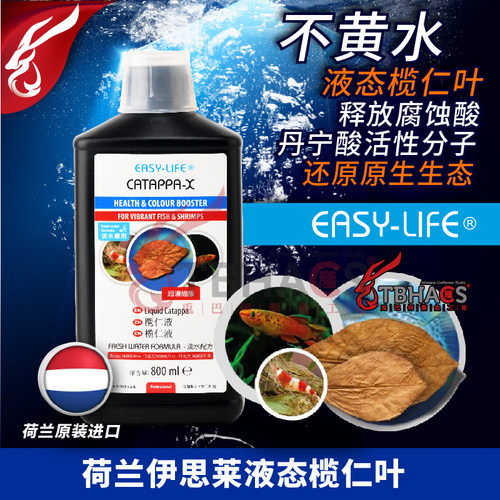 荷兰伊思莱液体不黄水降酸榄仁叶