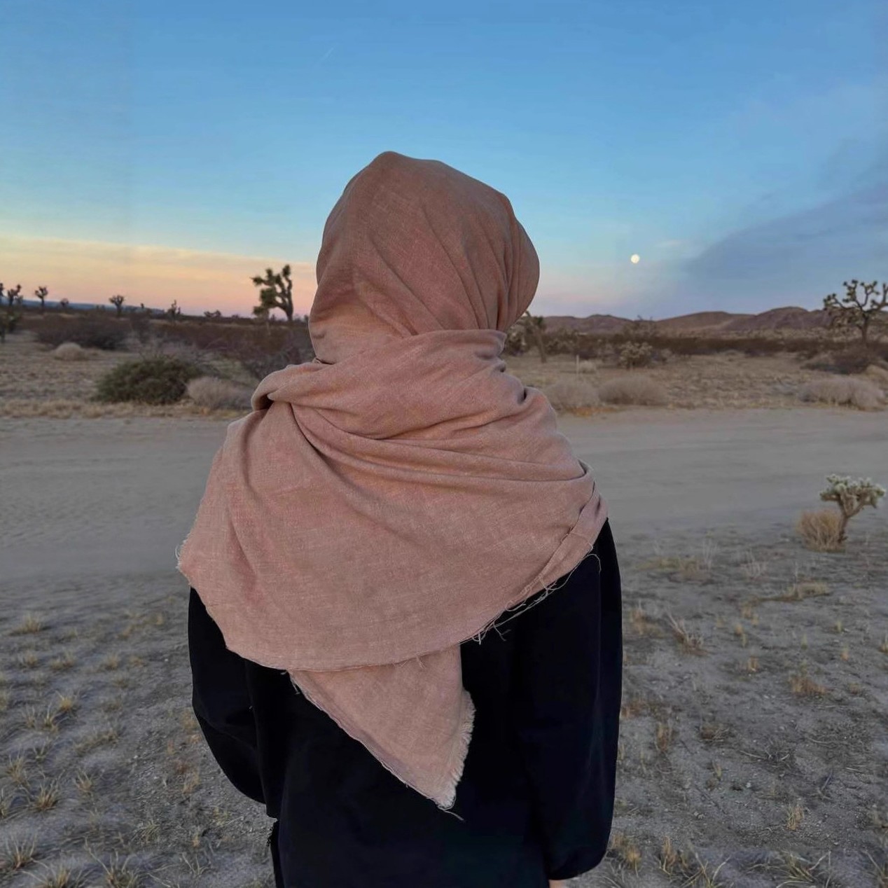 欧美跨境秋冬新款亚马逊个性街头小众头巾拼接连帽休闲卫衣女