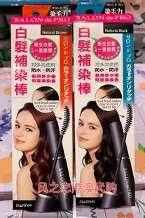 PRO沙龙级遮盖白发染发棒临时补染笔男女专用 SALON 港货正品