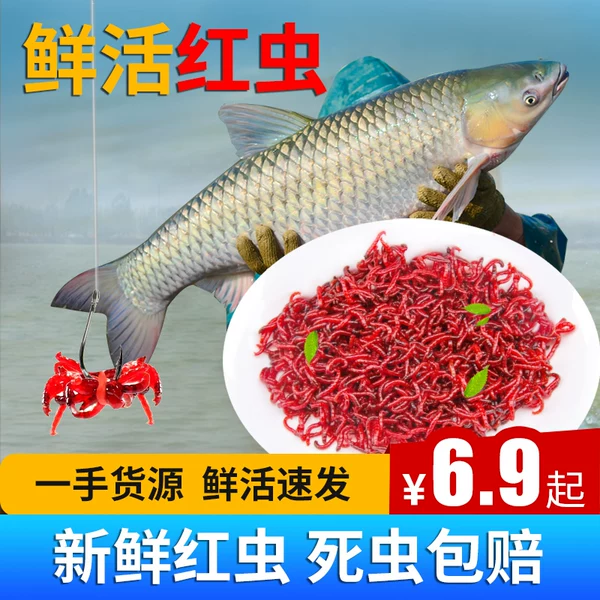 Товары от 渔悦户外旗舰店