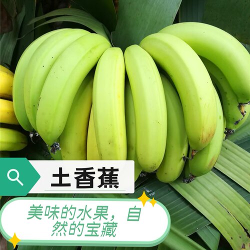 香蕉新鲜水果BANANA9斤