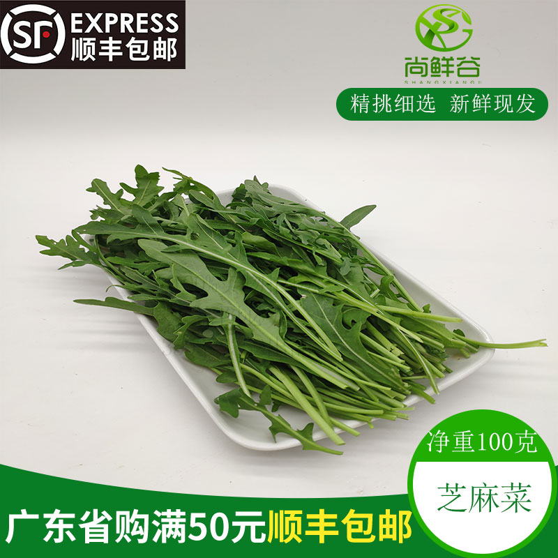 新鲜蔬菜芝麻菜 芸芥 火箭菜 沙拉西餐配菜rocket、arugula 100g/