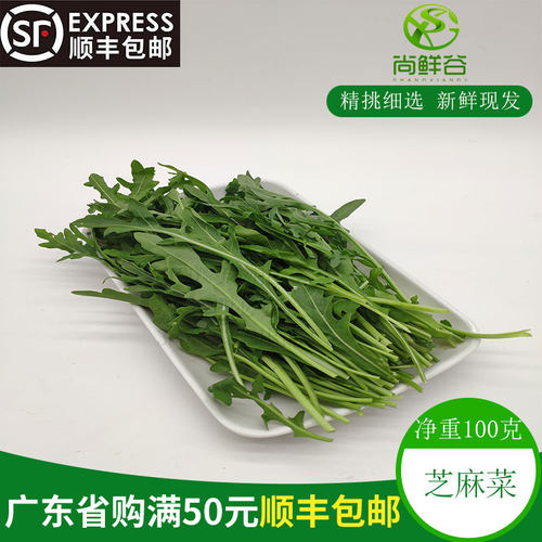 新鲜蔬菜芝麻菜 芸芥 火箭菜 沙拉西餐配菜rocket、arugula 100g/