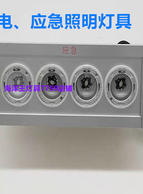 海洋王NFC9121LED低顶灯配电室专用应急灯NFE9121B/KT1应急顶灯