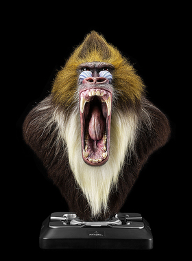 YUHAN山魈雕塑树脂仿真收藏品