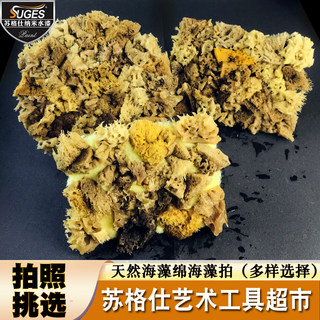 天然海藻棉三色珠光艺术漆印花工具大全海藻拍涂刷点涂海藻绵拍子