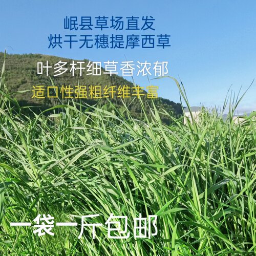 25烘干头茬提摩西草段满2斤包邮