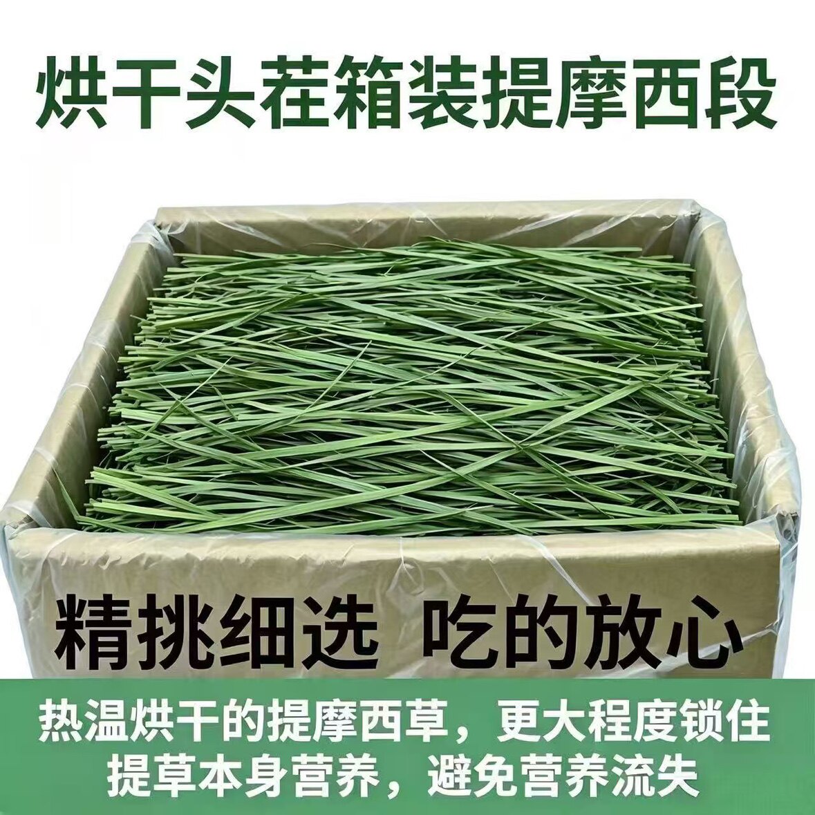 26烘干头茬箱装提摩西草一箱包邮