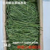 包邮 25新烘干头茬箱装 提摩西草兔兔龙猫豚鼠荷兰毛重两斤净重750g