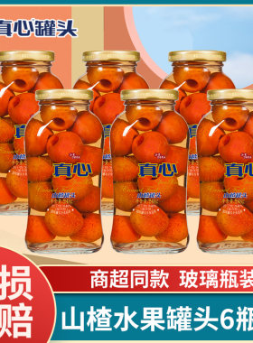 真心山楂水果罐头248g