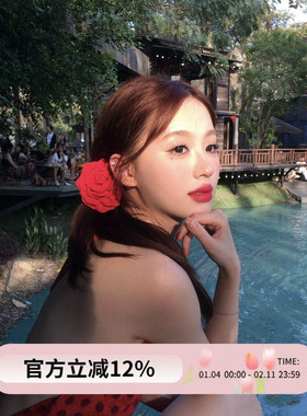 caro同款红色玫瑰花抓夹2025新款ins复古高级感后脑勺盘发鲨鱼夹