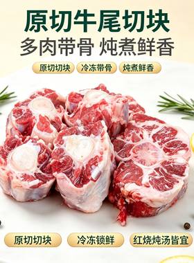 进口冷冻牛尾切块红烧炖汤