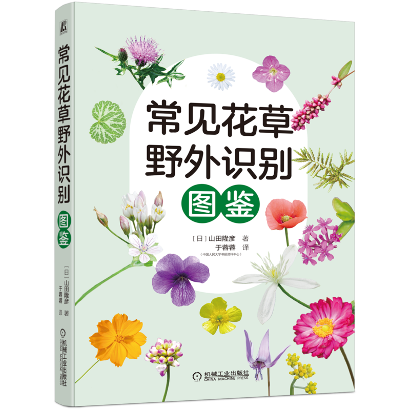 官网旗舰店官网正版速发