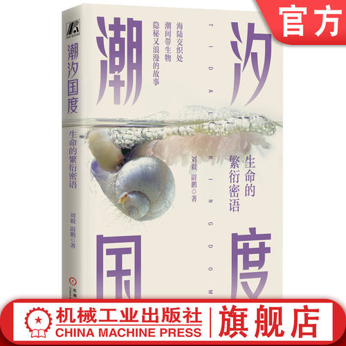 潮汐国度机械工业出版社