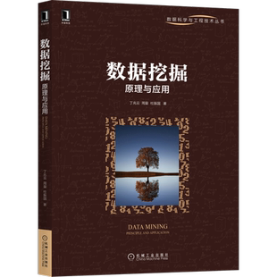 官网正版 数据挖掘 原理与应用 丁兆云 周鋆 杜振国 贝叶斯定理 案例 决策树 逻辑回归 模型评价 支持向量机
