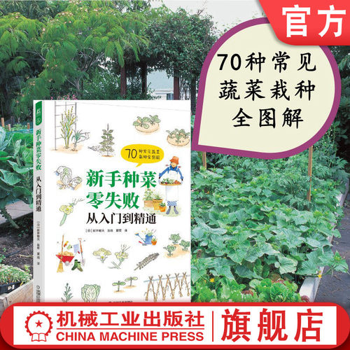 蔬菜从整地到收获，分步骤详解
