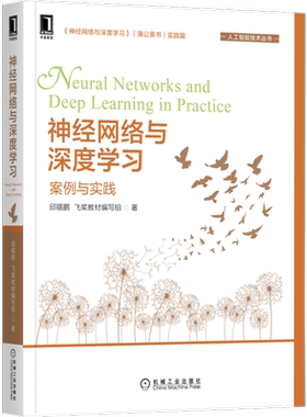 神经网络与深度学习：案例与实践