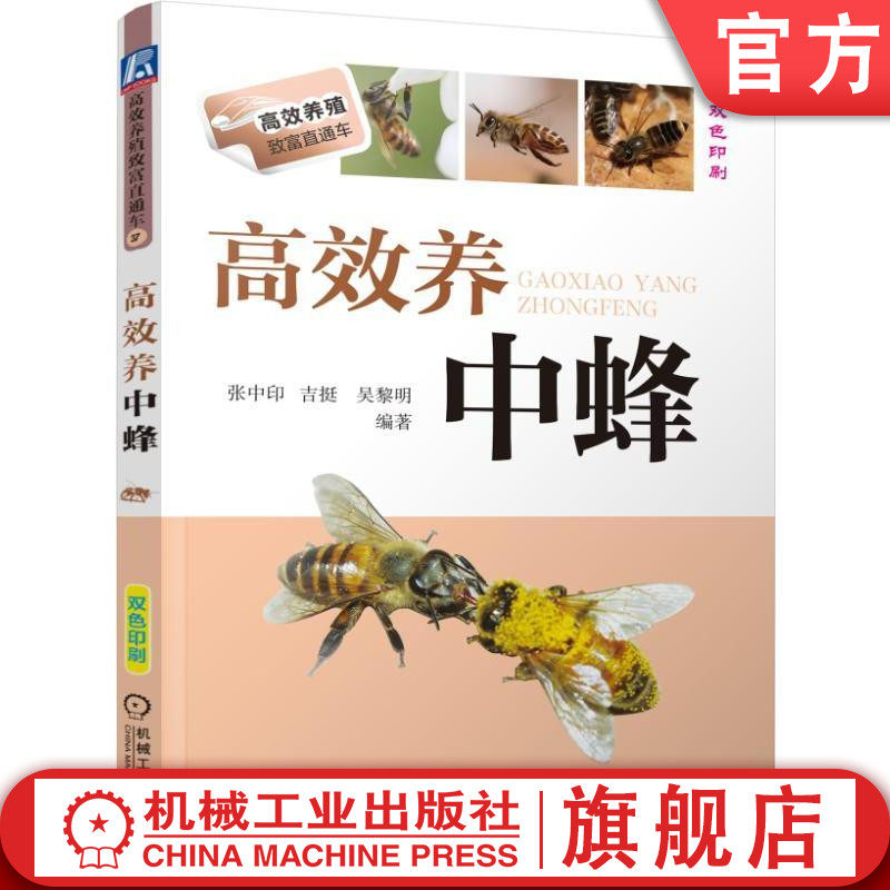 官网正版 高效养中蜂 张中印 吉挺 吴黎明 养殖致富直通车 经典实用技术图书 农业技能培训教材