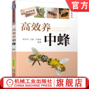 官网正版 高效养中蜂 张中印 吉挺 吴黎明 养殖致富直通车 经典实用技术图书 农业技能培训教材