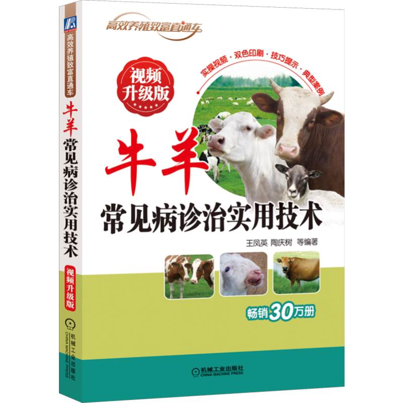 官网正版 牛羊常见病诊治实用技术 视频升级版 王凤英 养殖致富直通车 经典农业技能培训教材 机械工业出版社旗舰店