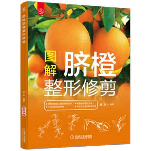 官网正版 图解脐橙整形修剪 陈杰 复芽 顶芽 树体结构 结果母枝 叶龄 绿叶层 物候期 生物学年龄期 削枝刀 操作技术 农业种植