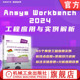 ANSYS 分析 Workbench 有限元 实例详解 2024工程应用与实例解析 官网现货