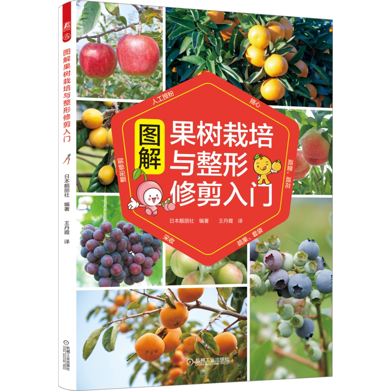 官网正版 图解果树栽培与整形修剪入门 日本靓丽社 定植 整形修剪 人工授粉 疏花 采收 果实 枝干 枝条 日常管理