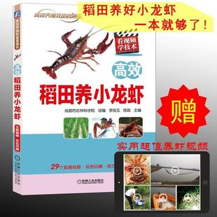 效稻田养小龙虾 经典 包邮 社 实用技术图书 机械工业出版 赠送29个实操视频 高 农业技能培训教材 养殖致富直通车 正版 李良玉