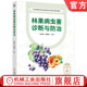 覃伟铭 果树病虫害防治 果树园艺 官网正版 机械工业出版 孙红艳 园林植物 社 林果病虫害诊断与防治