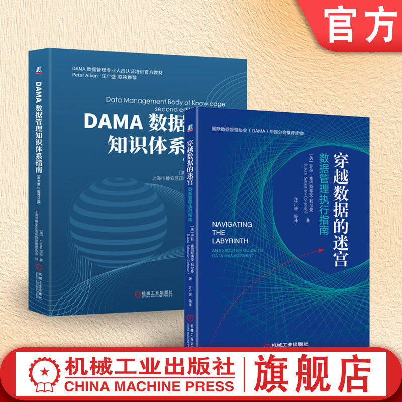 官网套装 DAMA数据管理知识体系指南(原书第2版修订版)+ 穿越数据的迷宫(共2册)