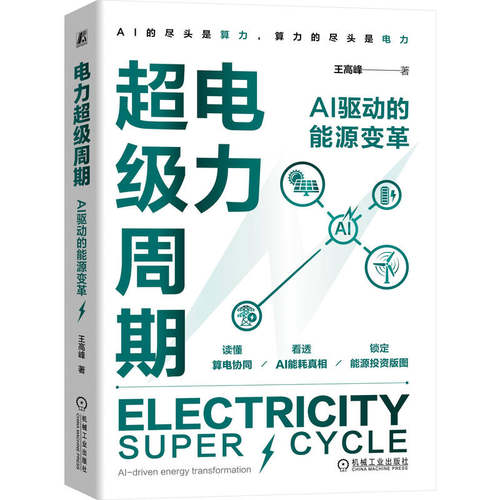 一书读懂电力与AI的关系