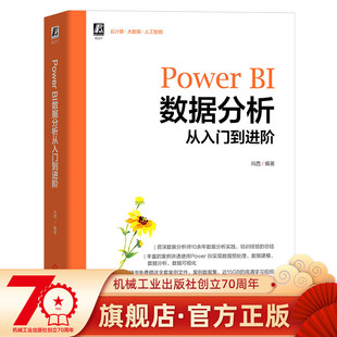 官网现货 Power BI数据分析从入门到进阶 Power BI 数据分析 数据可视化 可视化软件数据分析 机械工业出版社