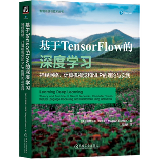 官网正版 基于Tensorflow的深度学习 神经网络 计算机视觉和NLP的理论与实践 马格努斯 埃克曼 感知器 神经语言模型 注意力机制