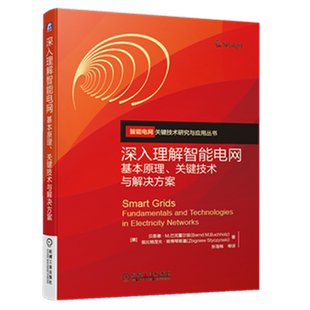 官网正版 深入理解智能电网 基本原理关键技术与解决方案 贝恩德 巴克霍尔兹 输电网 变电站 配电网设计 监测 信息和通信