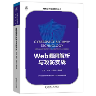 官网正版 Web漏洞解析与攻防实战 王放 龚潇 王子航 红蓝对抗 信息安全 风险控制 渗透测试 靶场环境搭建 后端漏洞 技术指南
