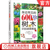 金田初代 社 机械工业出版 解析 身边常见 600种树木识别速查图鉴 庭院树 花 叶片 公园树 官网正版 果实 行道树 树皮特征