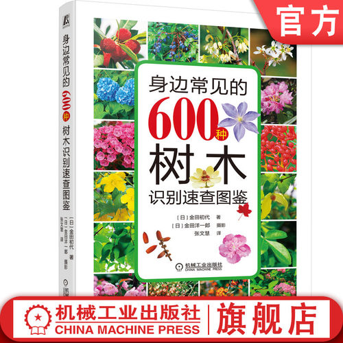 叶、花、果实、树皮特征全解析
