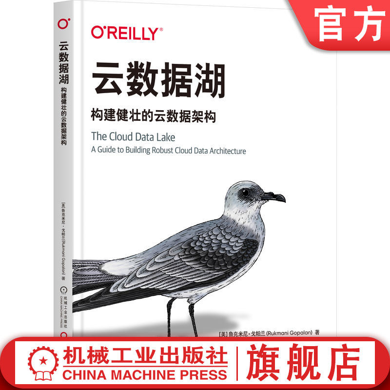 官网正版 云数据湖:构建健壮的云数据架构 Rukmani Gopalan 微软Azure首席软件架构师推荐 9787111762751 机械工业出版社